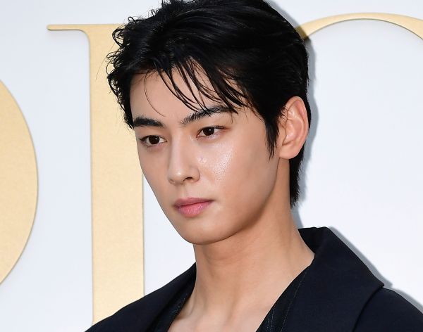 "본세만 최대 140억"…'탈세' 차은우 사건 분석 나왔다