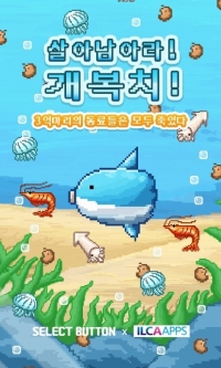실검보고서, 개복치, 예민해도 너무 예민한 거대물고기