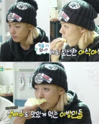'헬로이방인' 강남, 생배추도 맛있게 흡입 '아삭아삭'