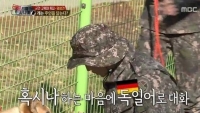'진짜사나이' 헨리, 군견에게 독일어로 대화 시도