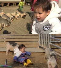 '오마베' 태오, 돼지농장 뛰놀다 대성통곡한 사연은?