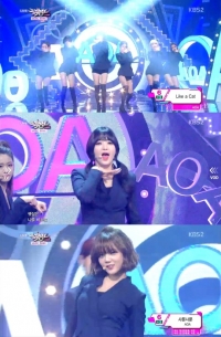'뮤직뱅크' AOA, 오피스걸 의상 입고 '섹시 캣우먼 변신'