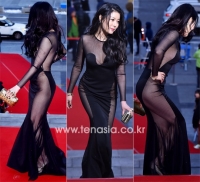 2014년 레드카펫 파격 노출...밧줄드레스부터 전신 시스루까지