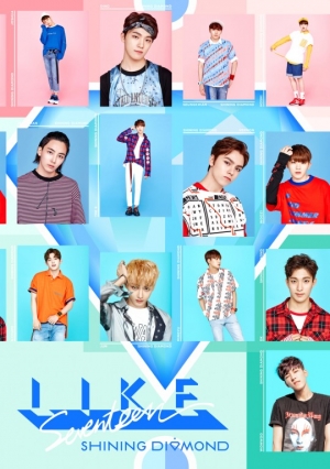 세븐틴, 단독 콘서트 전석 매진..'대세의 길'