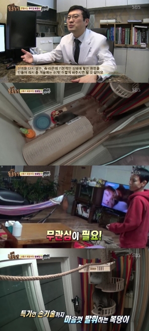 &#39;동물농장&#39; 말썽꾸러기 라쿤, 알고보니 &#39;사춘기&#39;