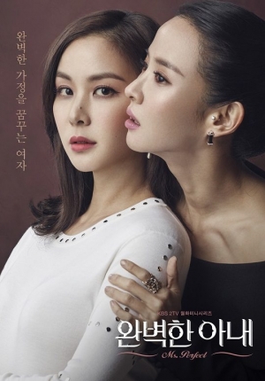 '완벽한 아내', 이렇게 재미있는데 설명할 방법이 없네~