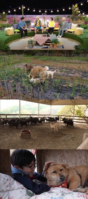 '하하랜드2', 자유 찾아 떠난 개들의 좌충우돌 산골 라이프