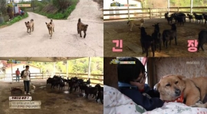 &#39;하하랜드2&#39; 시즌 종료...동물들이 있어 행복했다