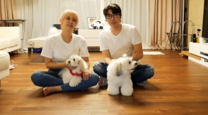 '랜선라이프' 대도서관♥윰댕, 반려견 아이큐 검사 결과에 &#39;충격&#39;