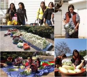 ‘아내의 맛’ 이하정X장영란X문정원X여에스더, 200포기 김장대첩