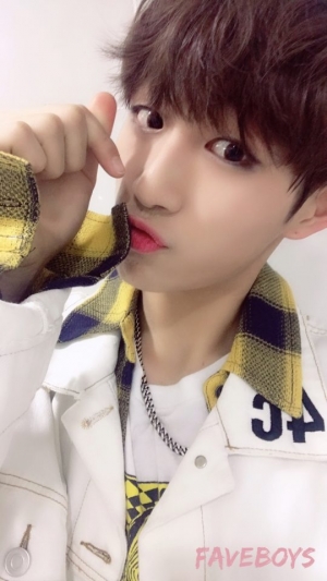 '더 팬' 임지민, 최종 3위..."다시 무대 설 날까지 열심히 할 것...찌미애정단 '파이어♥'"