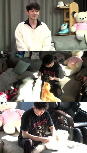 '나 혼자 산다' 윤균상, ?집사의 고양이 하우스 공개...반려묘와 아기자기 일상