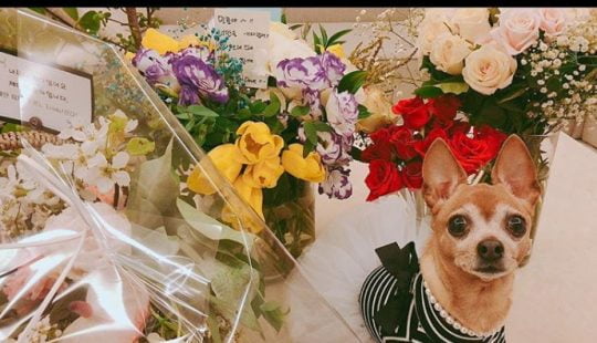 "고마워요"... '소집해제' 이민호, 변함없는 팬 ♥
