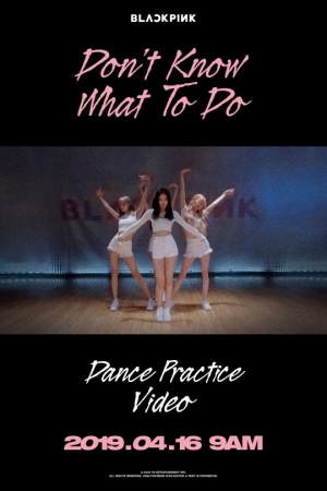 블랙핑크, 'Don't Know What To Do' 안무 영상 공개…"여성美 발산"