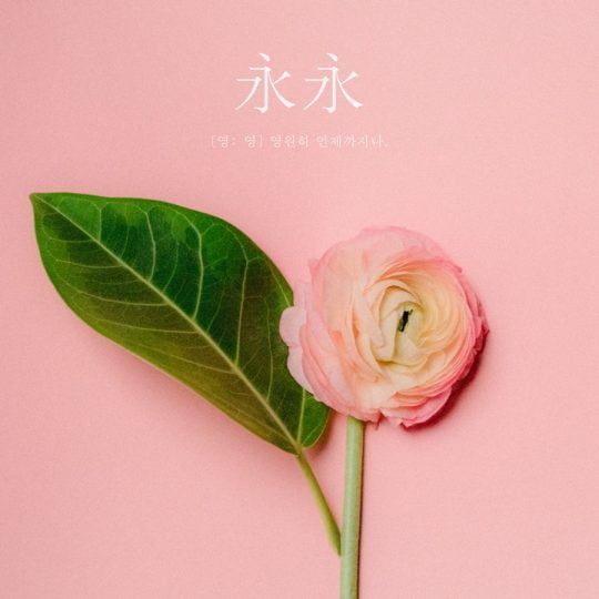 가수 김범수 ‘영엉’ 재킷. / 제공=영 엔터테인먼트