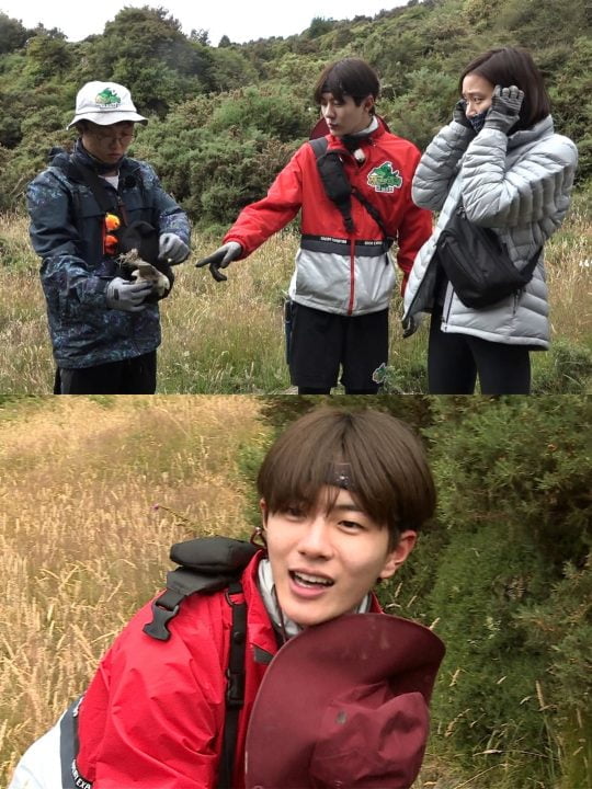 ‘정글의법칙 in 태즈먼’ 스틸./사진제공=SBS