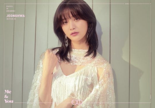 걸그룹 EXID 멤버 정화의 신곡 티저 이미지 /사진제공=바나나컬쳐엔터테인먼트
