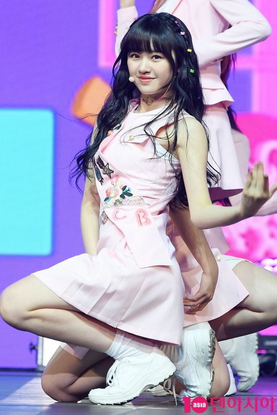 그룹 체리블렛 코코로
