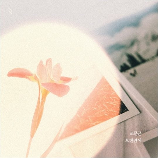 가수 조문근의 ‘오랜만에’ 커버./ 사진제공=더하기미디어
