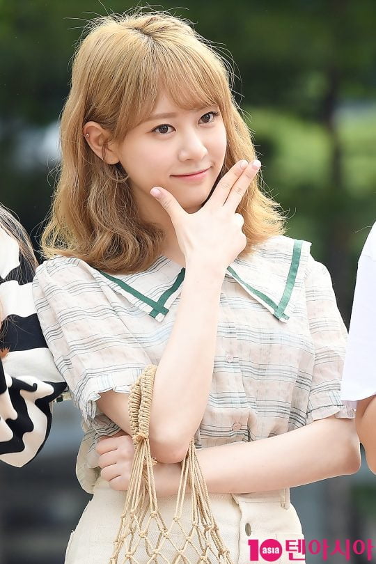 그룹 체리블렛 보라
