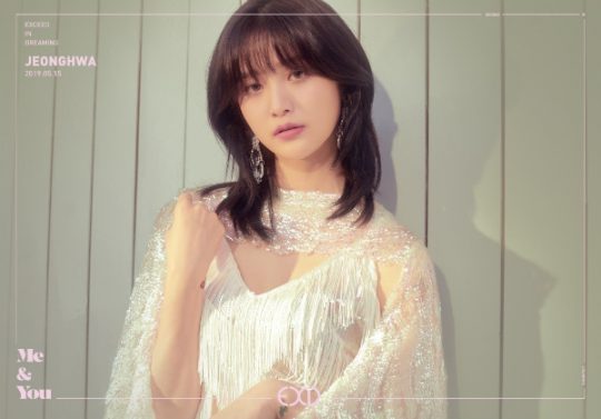 걸그룹 EXID 멤버 정화 티저 이미지 /사진제공=바나나컬쳐엔터테인먼트