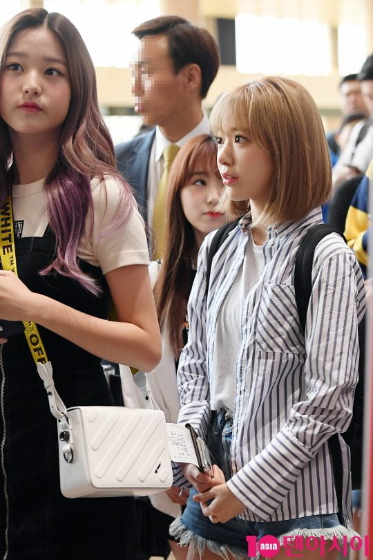 그룹 아이즈원 장원영, 미야와키 사쿠라
