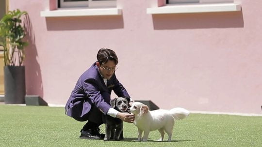 JTBC2 ‘그랜드부다개스트’에 출연한 토니안./사진제공=JTBC2