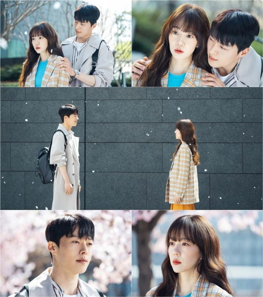 tvN ‘검색어를 입력하세요 WWW’ /사진제공=tvN