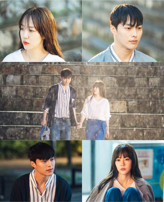tvN ‘검색어를 입력하세요 WWW’/사진제공=tvN