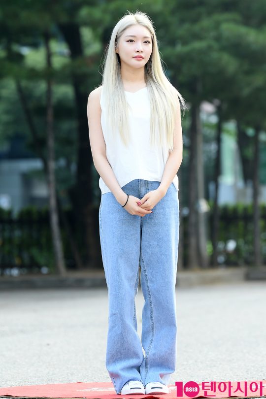 가수 청하