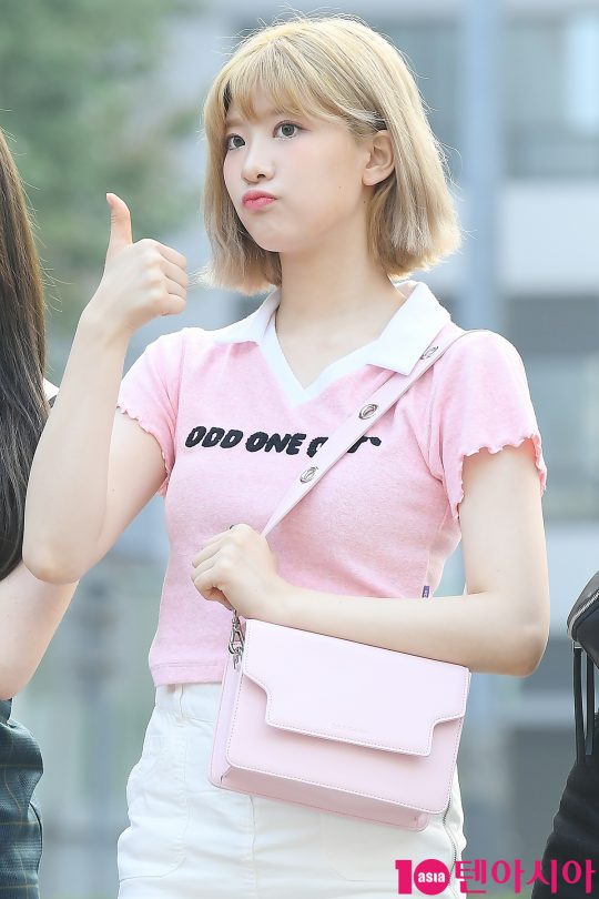 그룹 네이처 선샤인