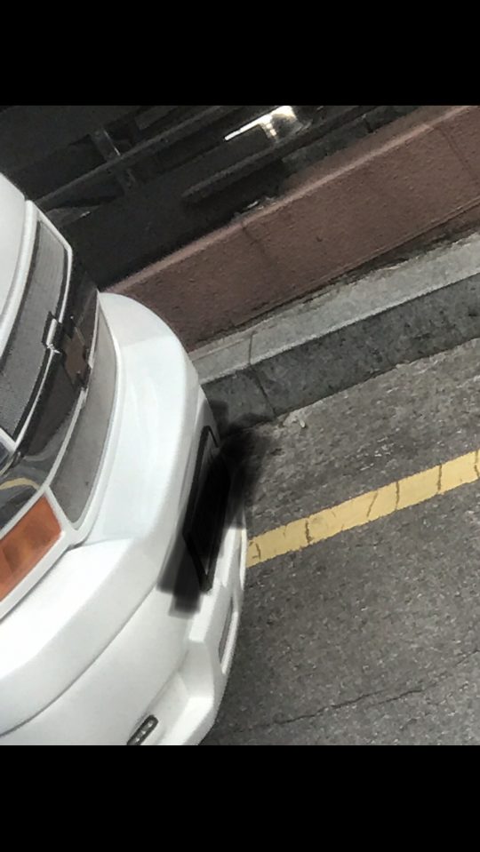 누리꾼이 올린 사진