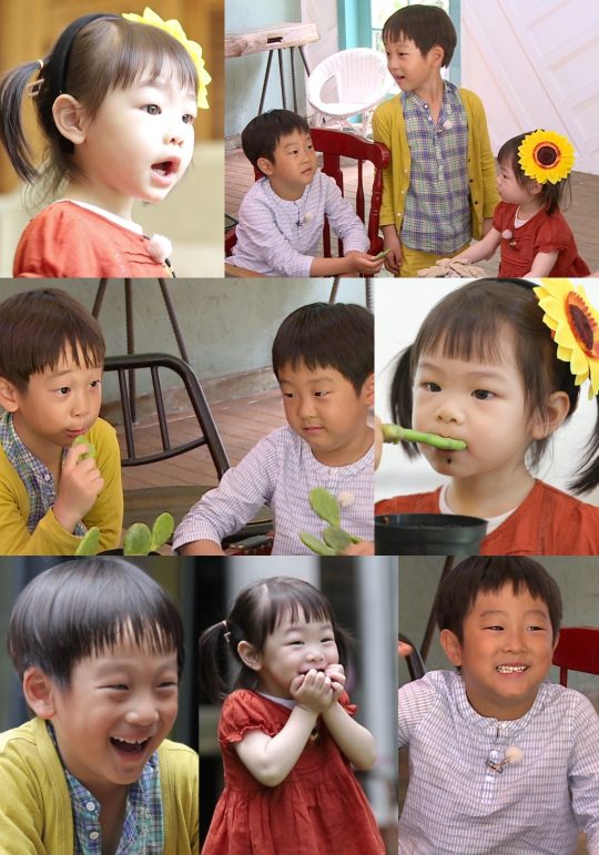 서언·서준을 만난 잼잼. /사진제공= KBS2 ‘슈퍼맨이 돌아왔다’