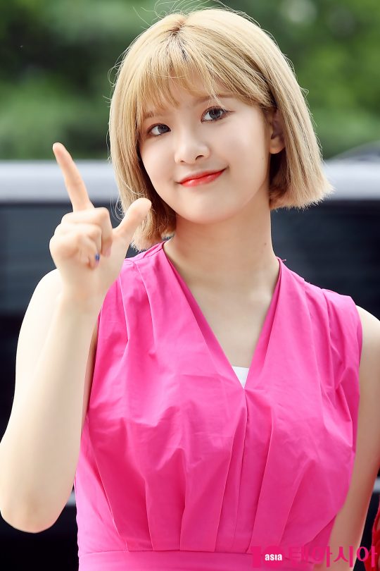 그룹 네이처 선샤인