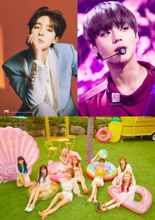 위너의 김진우(왼쪽 위부터 시계방향), 가수 박지훈, 그룹 위키미지./사진=각 소속사 제공