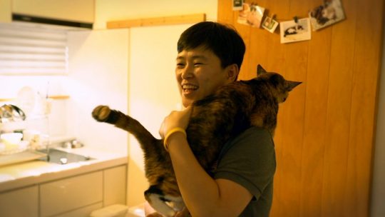 EBS1 ‘고양이를 부탁해4’ 스틸컷. /사진제공=EBS