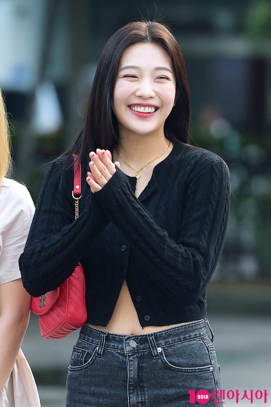 레드벨벳 조이