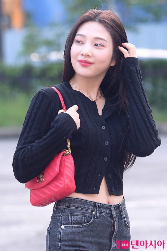 레드벨벳 조이