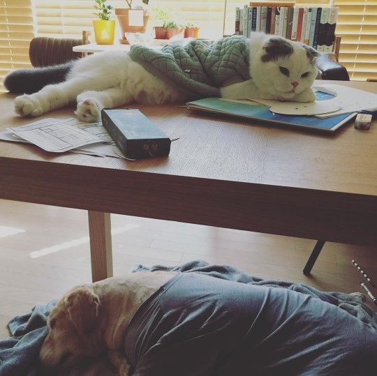 사진=구혜선 인스타그램