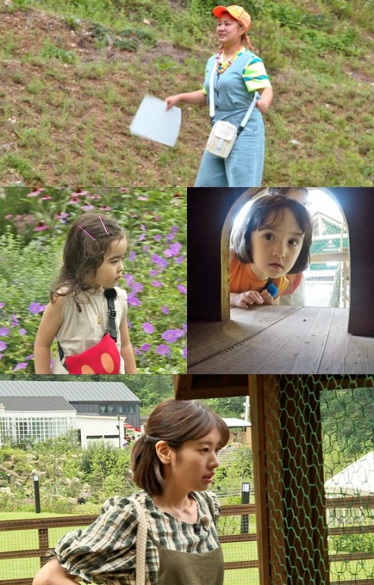 SBS 월화예능 ‘리틀 포레스트 : 찍박골의 여름’ 스틸컷. /사진제공=SBS