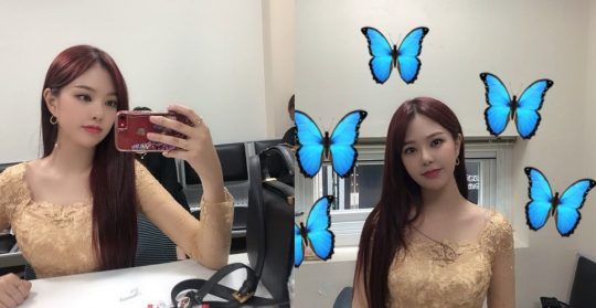 /사진제공=하이디 인스타그램