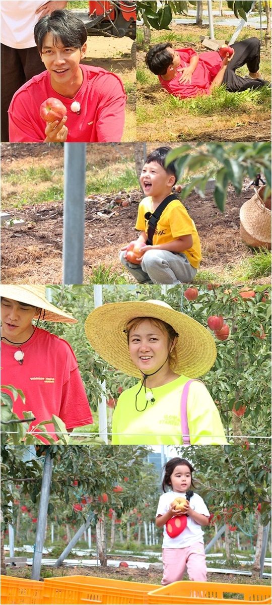 SBS 예능 ‘리틀 포레스트’./ 사진제공=SBS
