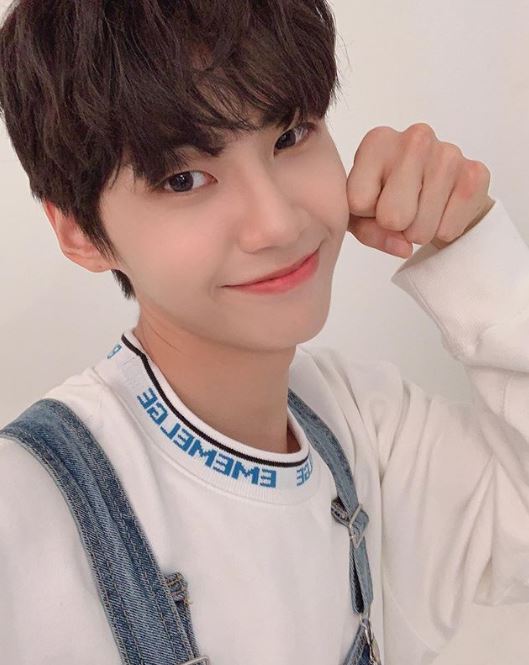 /사진제공=이진혁 인스타그램