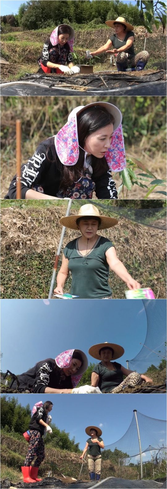 MBN ‘모던 패밀리’ 스틸컷. /사진제공=MBN
