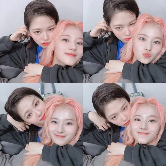 트와이스 사나-정연./ 사진=인스타그램