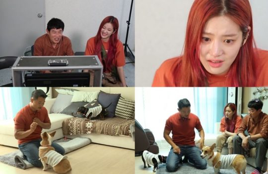 KBS2 ‘개는 훌륭하다’ 스틸컷. /사진제공=KBS