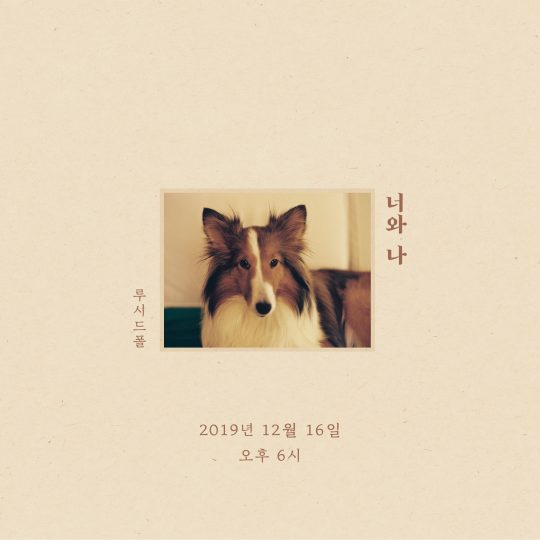 가수 루시드폴 ‘너와 나’ 커버. / 제공=안테나