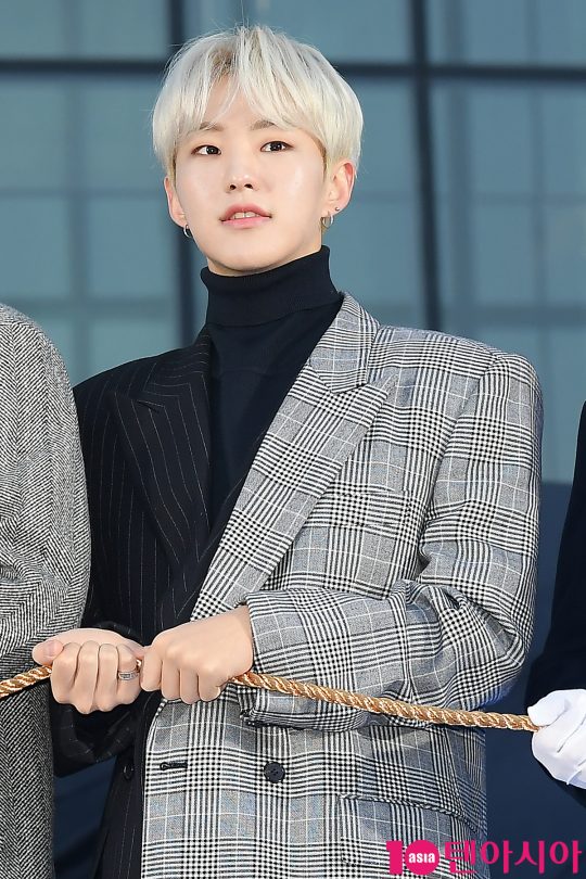 그룹 세븐틴 호시