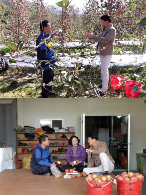 '맛남의 광장' 두 번째 장소 공개...'사과의 기적 펼친다'