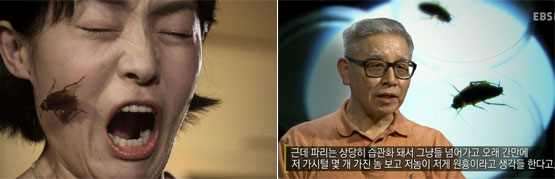 문동현 PD│“바퀴벌레는 질기게 살아남아야 하는 우리와 닮았다”